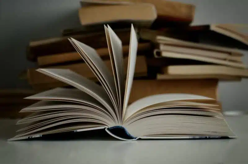 The largest regional book exhibition. Browse through all genres for 15 hours a day, philosophize and meet the authors.